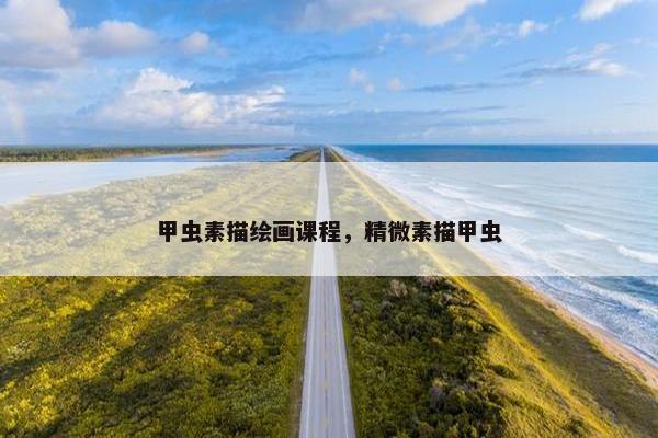甲虫素描绘画课程，精微素描甲虫