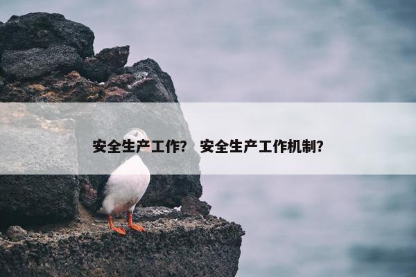 安全生产工作？ 安全生产工作机制？