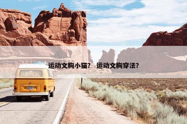 运动文胸小猫？ 运动文胸穿法？