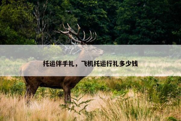 托运伴手礼，飞机托运行礼多少钱