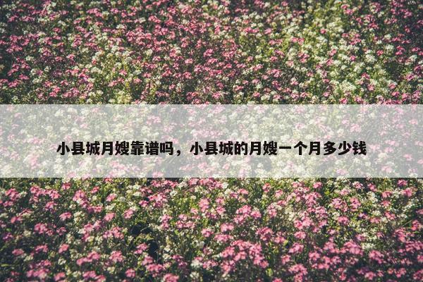 小县城月嫂靠谱吗，小县城的月嫂一个月多少钱
