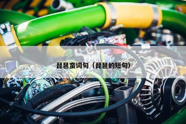 琵琶蛮词句（琵琶的短句）