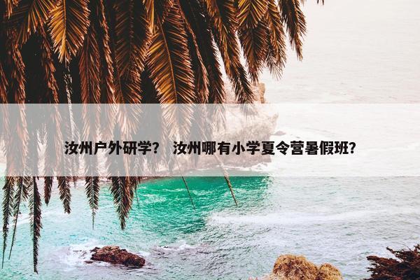 汝州户外研学？ 汝州哪有小学夏令营暑假班？