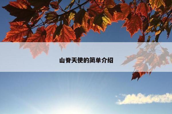 山脊天使的简单介绍