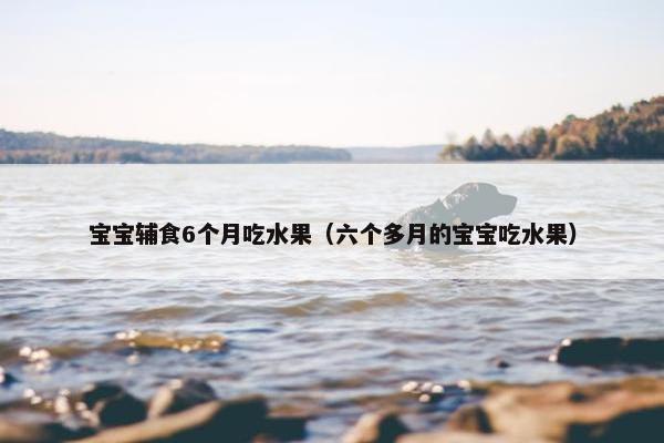 宝宝辅食6个月吃水果（六个多月的宝宝吃水果）