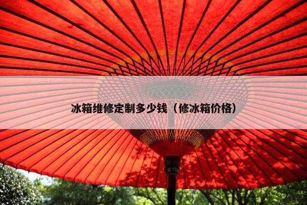 冰箱维修定制多少钱（修冰箱价格）