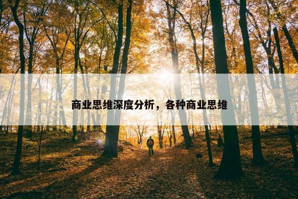 商业思维深度分析，各种商业思维