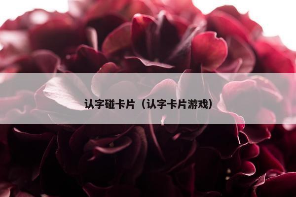 认字碰卡片（认字卡片游戏）