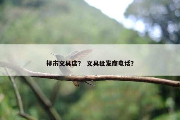 柳市文具店？ 文具批发商电话？