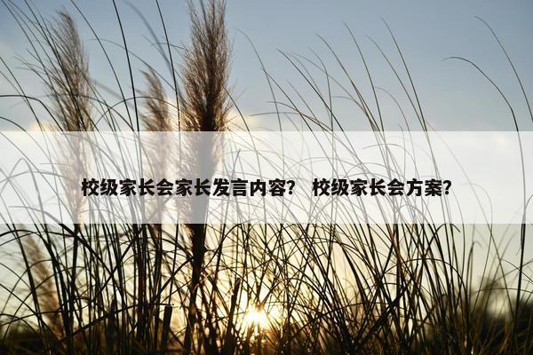 校级家长会家长发言内容？ 校级家长会方案？