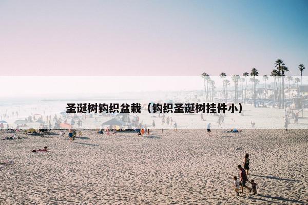 圣诞树钩织盆栽（钩织圣诞树挂件小）