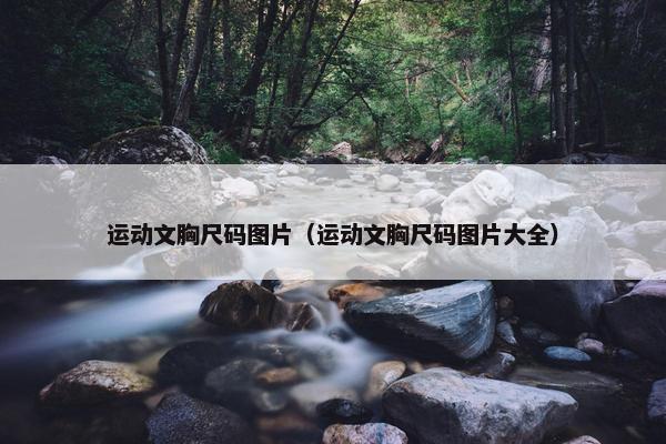 运动文胸尺码图片（运动文胸尺码图片大全）