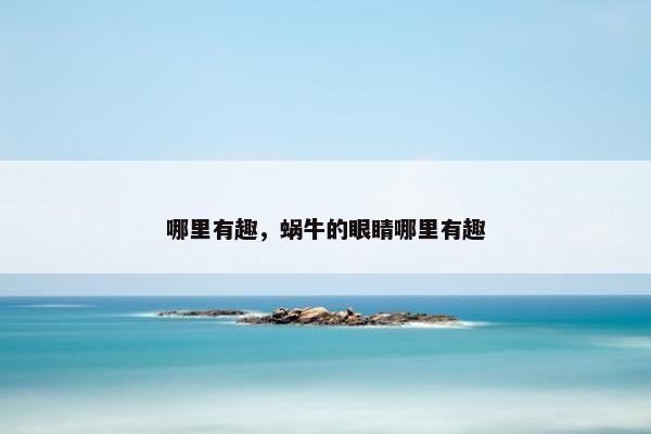 哪里有趣，蜗牛的眼睛哪里有趣