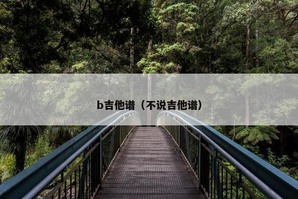 b吉他谱（不说吉他谱）