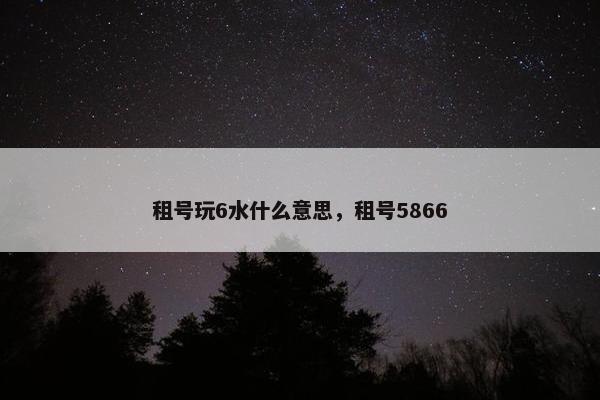 租号玩6水什么意思，租号5866