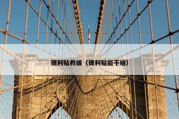 便利贴救援（便利贴能干啥）