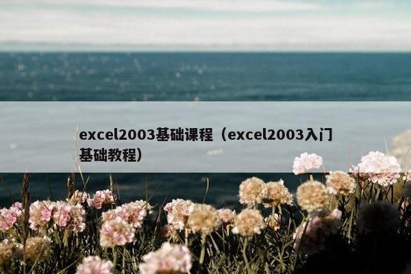 excel2003基础课程（excel2003入门基础教程）