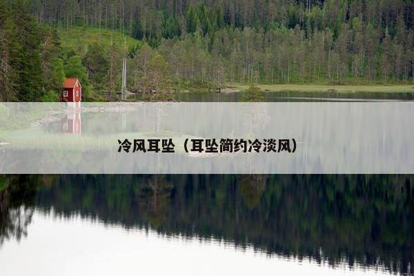 冷风耳坠（耳坠简约冷淡风）