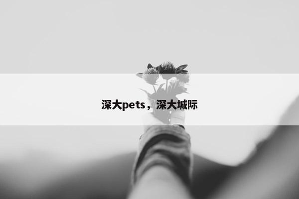 深大pets，深大城际