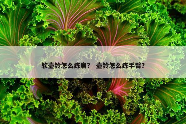 软壶铃怎么练肩？ 壶铃怎么练手臂？