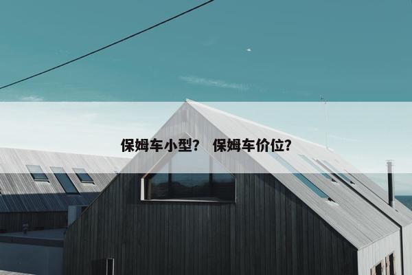 保姆车小型？ 保姆车价位？