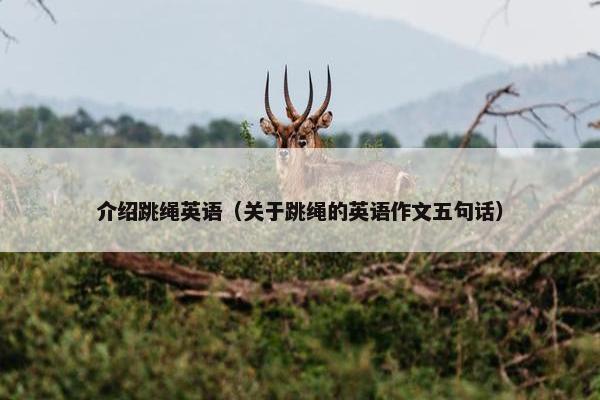 介绍跳绳英语（关于跳绳的英语作文五句话）