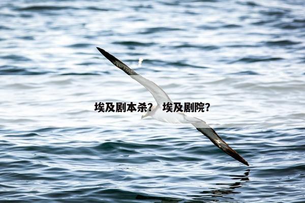 埃及剧本杀？ 埃及剧院？