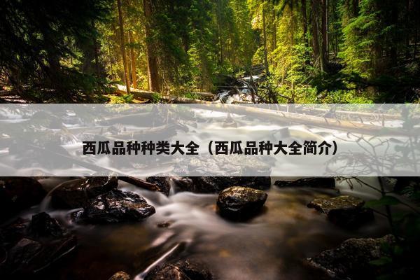 西瓜品种种类大全（西瓜品种大全简介）