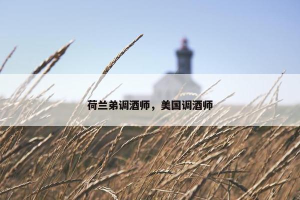 荷兰弟调酒师，美国调酒师