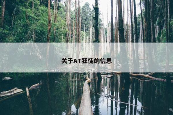 关于AT狂徒的信息