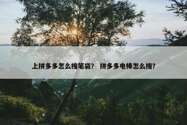 上拼多多怎么搜笔袋？ 拼多多电棒怎么搜？