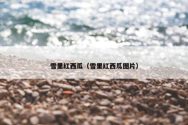 雪里红西瓜（雪里红西瓜图片）