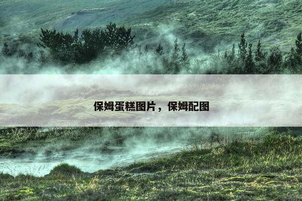 保姆蛋糕图片，保姆配图