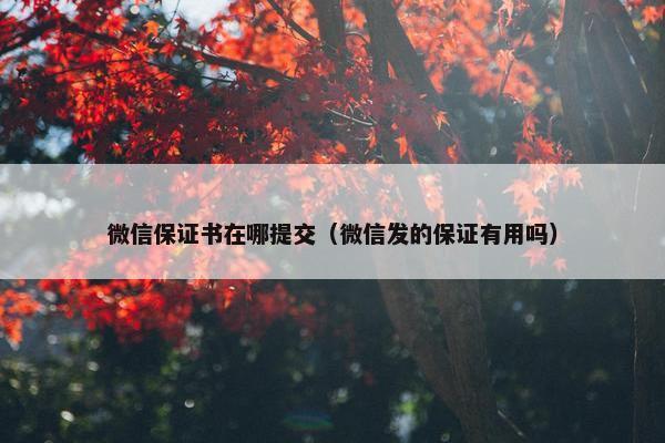微信保证书在哪提交（微信发的保证有用吗）