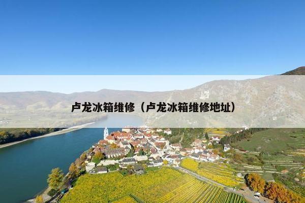 卢龙冰箱维修（卢龙冰箱维修地址）