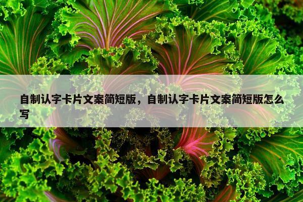 自制认字卡片文案简短版，自制认字卡片文案简短版怎么写