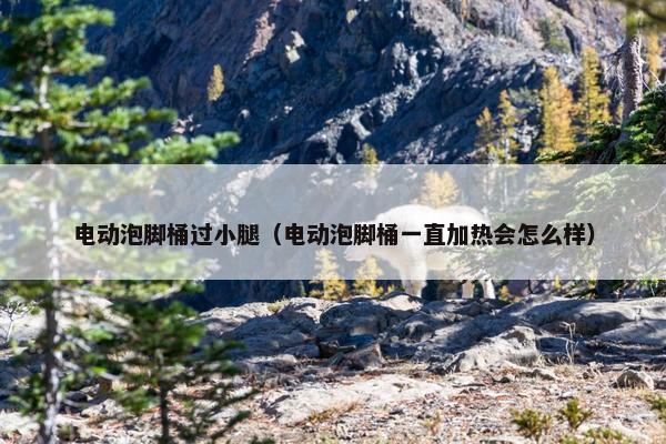 电动泡脚桶过小腿（电动泡脚桶一直加热会怎么样）