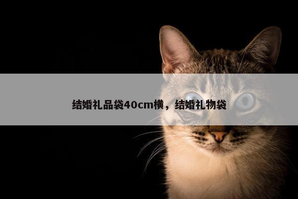 结婚礼品袋40cm横，结婚礼物袋