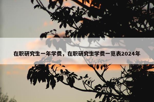 在职研究生一年学费，在职研究生学费一览表2024年