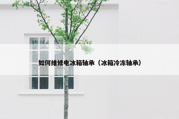 如何维修电冰箱轴承（冰箱冷冻轴承）