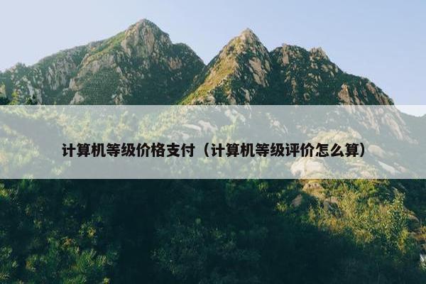 计算机等级价格支付（计算机等级评价怎么算）