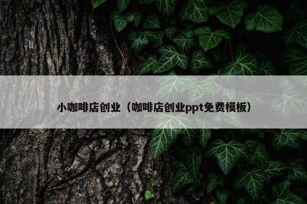 小咖啡店创业（咖啡店创业ppt免费模板）