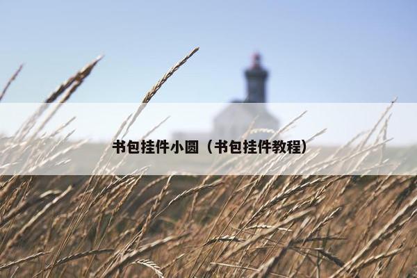 书包挂件小圆（书包挂件教程）