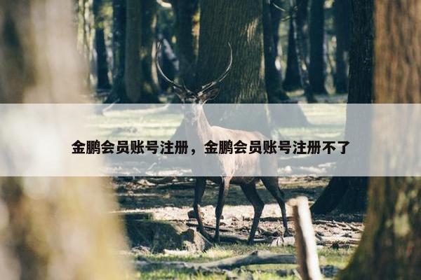 金鹏会员账号注册，金鹏会员账号注册不了