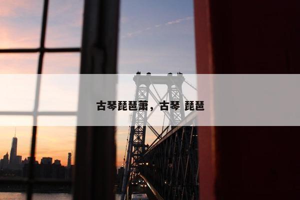 古琴琵琶萧，古琴 琵琶