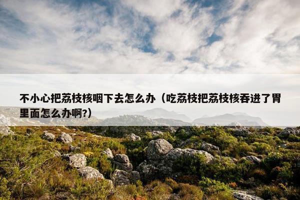不小心把荔枝核咽下去怎么办（吃荔枝把荔枝核吞进了胃里面怎么办啊?）