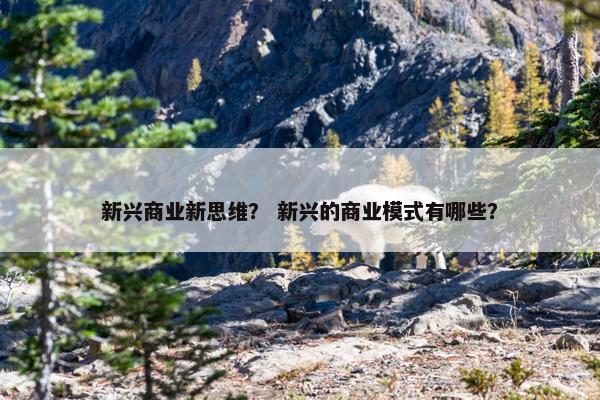 新兴商业新思维？ 新兴的商业模式有哪些？