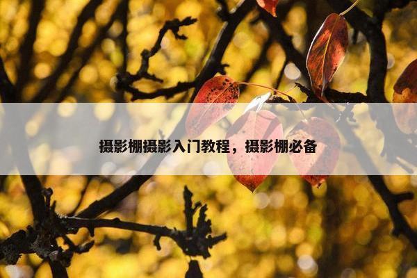 摄影棚摄影入门教程，摄影棚必备