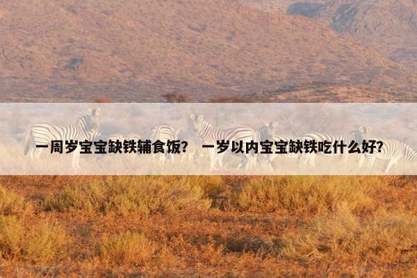 一周岁宝宝缺铁辅食饭？ 一岁以内宝宝缺铁吃什么好？