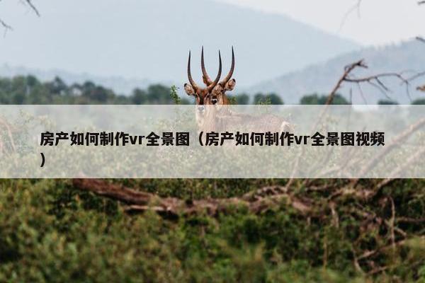 房产如何制作vr全景图（房产如何制作vr全景图视频）